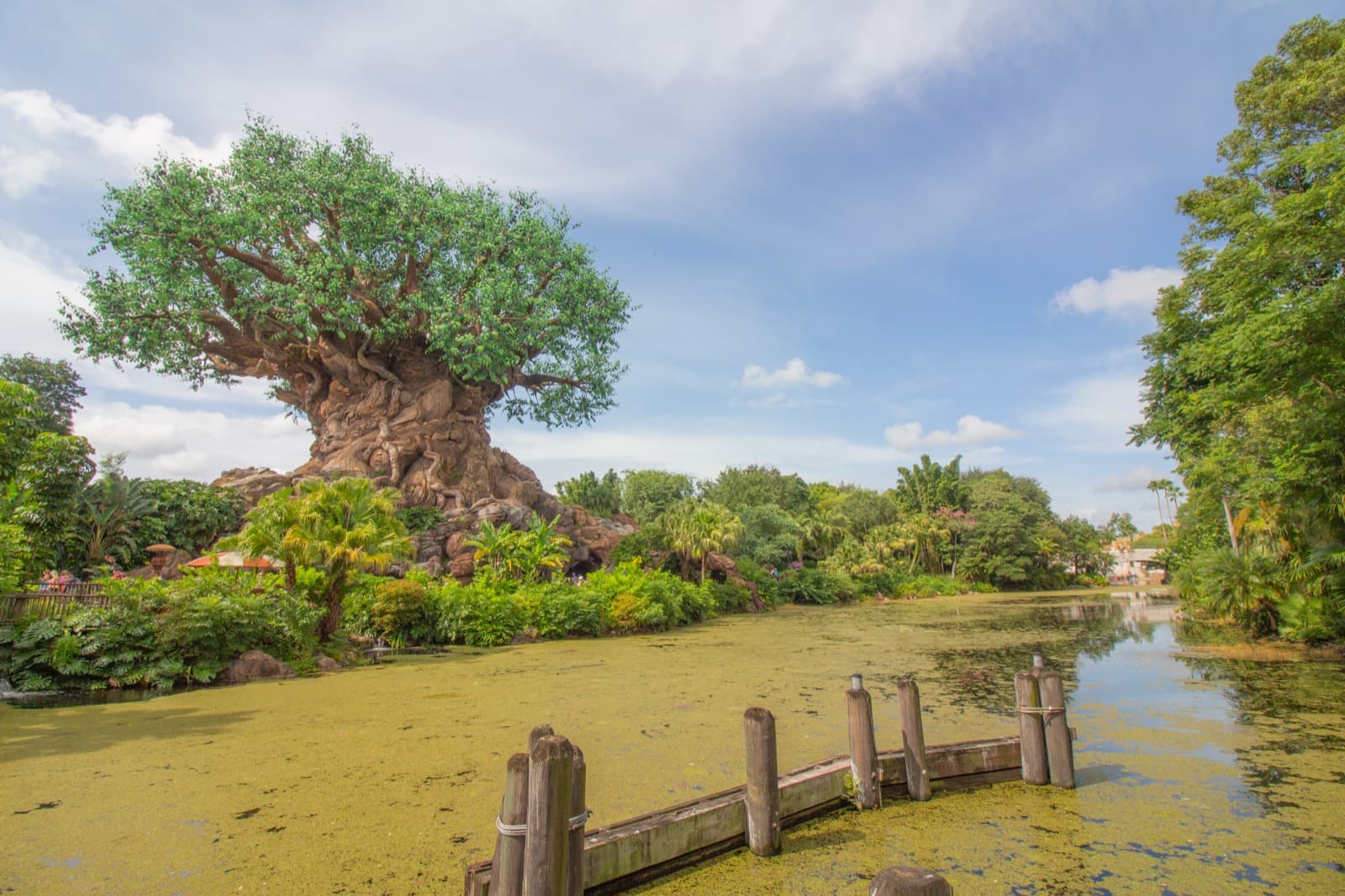 Animal Kingdom