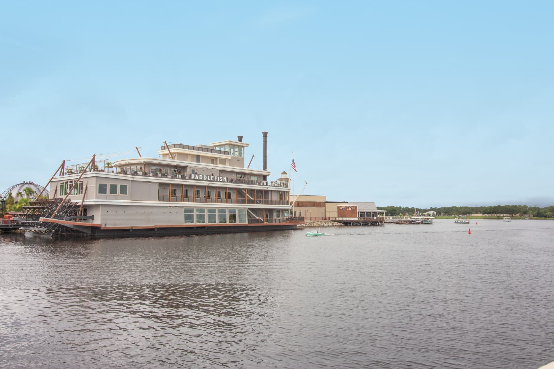 Paddlefish
