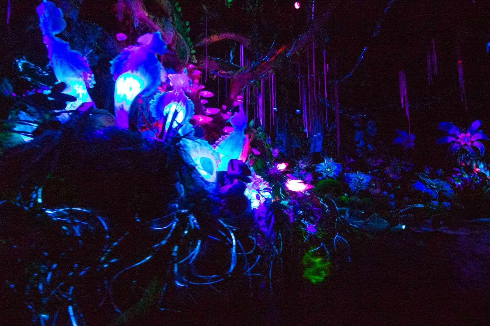 Na'vi River Journey