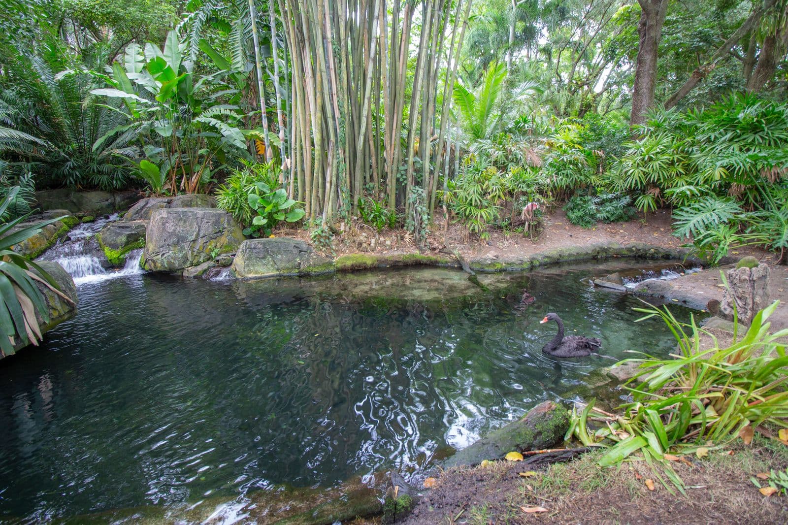 Oasis Exhibits