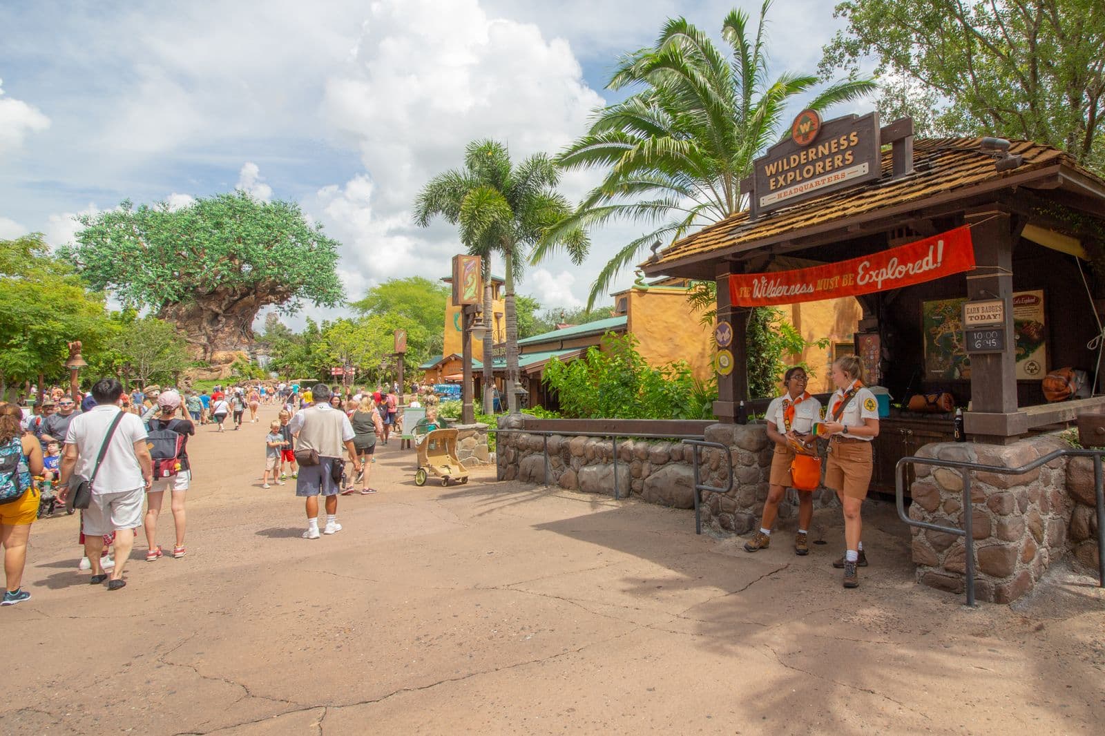 Wilderness Explorers