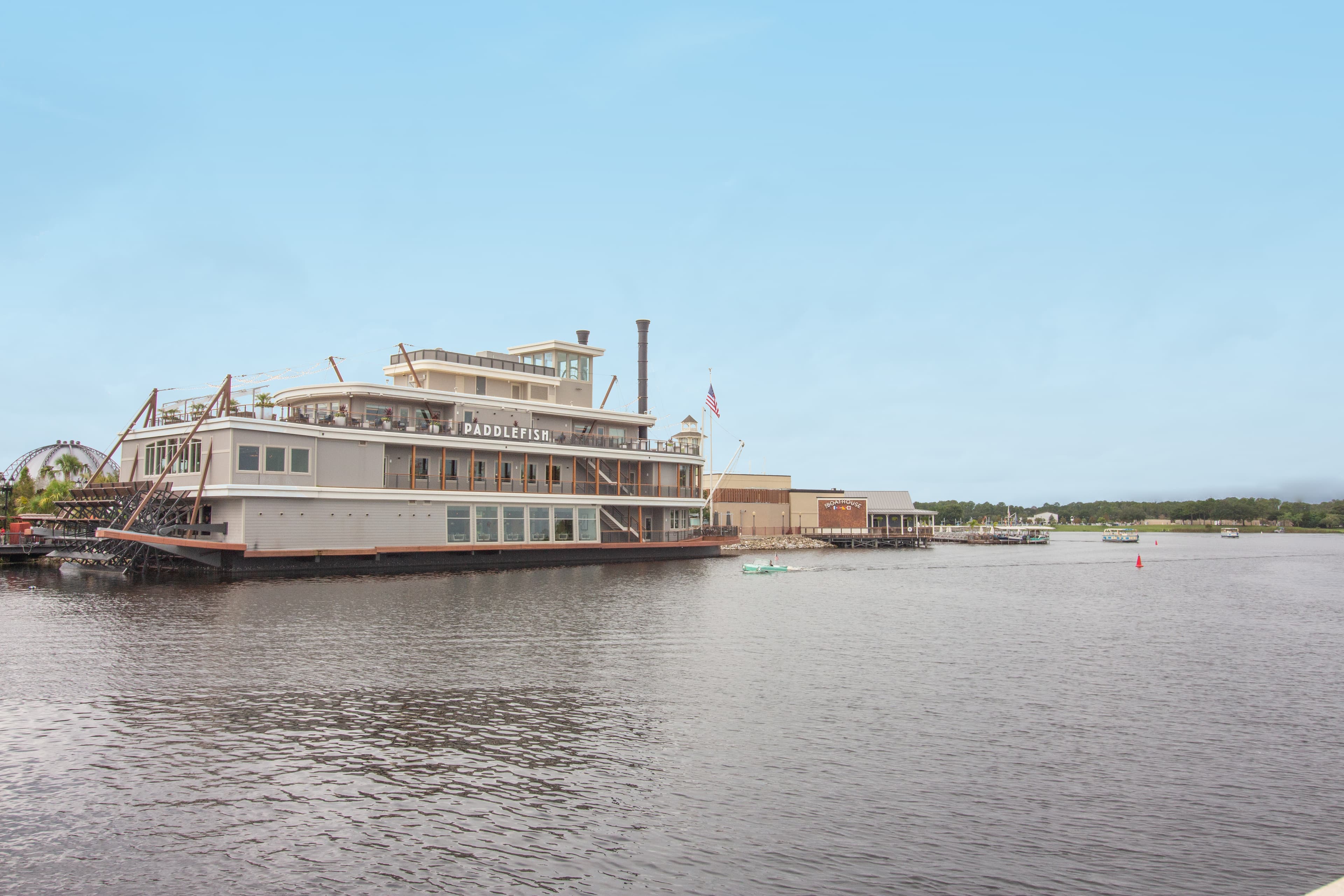 Paddlefish